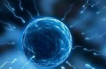 做试管婴儿取过程要多久？