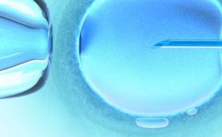 为何试管婴儿生龙凤胎并非易事？全面解析方式与风险。