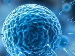 国内特需试管多少钱？泰国做特需试管合法吗？