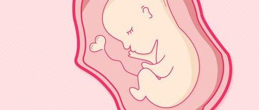 试管移植冻胚走人工周期和自然周期在成功率上有区别吗？