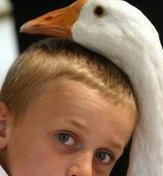 2026年江西试管费用报销大揭秘！政策出炉，看看你能省多少钱？