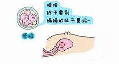 2026贵阳试管助孕需要多少钱？