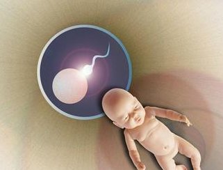 2026新余市最新男性陪产假有多少天？试管婴儿可以增加产假吗？