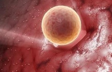 湖北三代试管要准备多少钱？10万花得完吗？