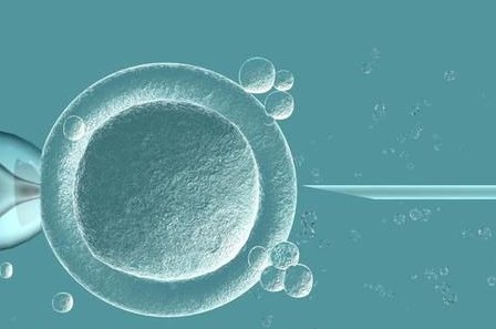 排卵障碍不容忽视，不孕大多是其原因！漳平市哪家医院擅长排卵障碍试管方案？